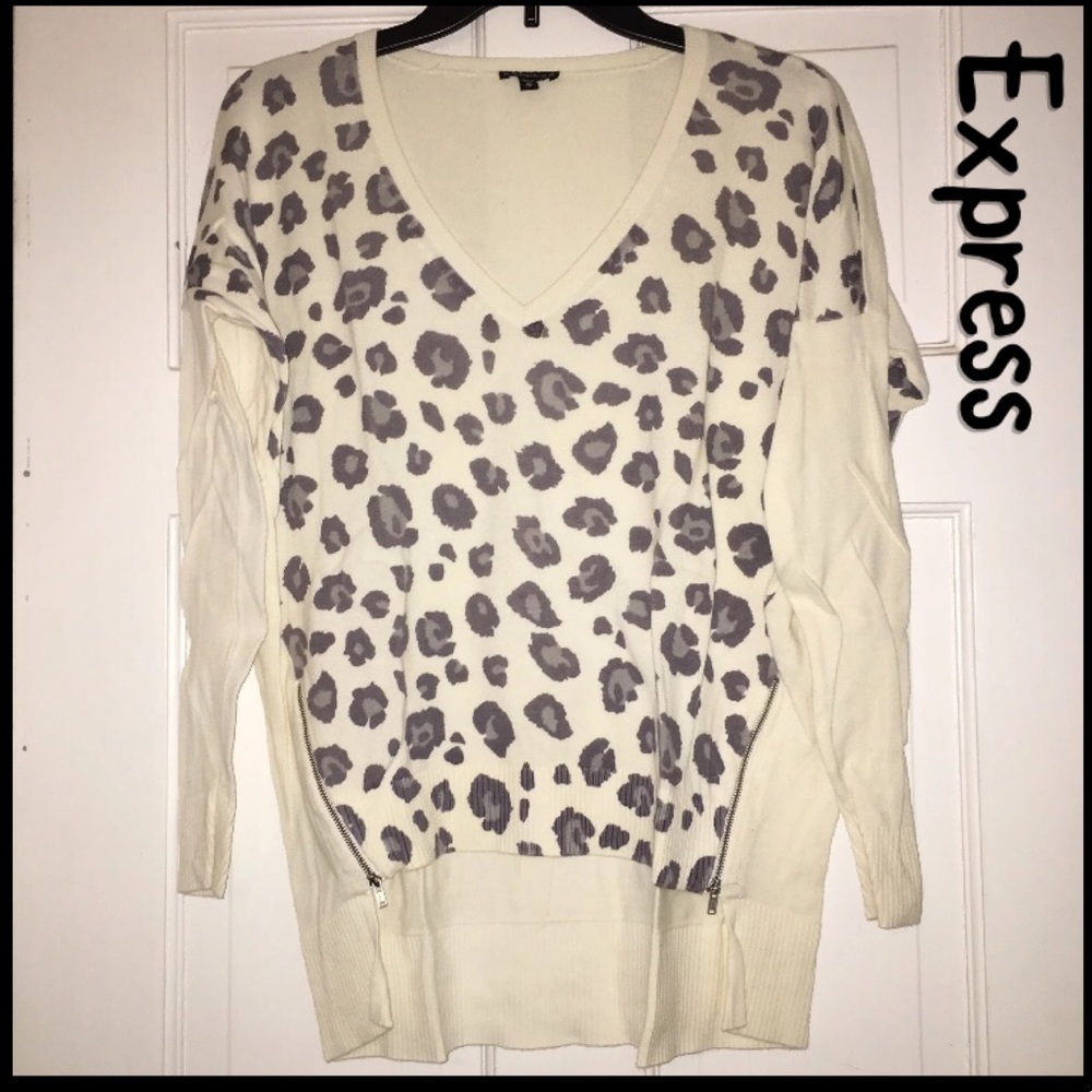 Express Cheetah Print Sweater